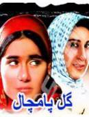 سریال ایرانی گل پامچال